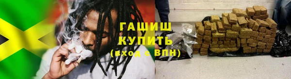 МДПВ Пересвет
