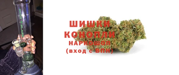 МДПВ Пересвет