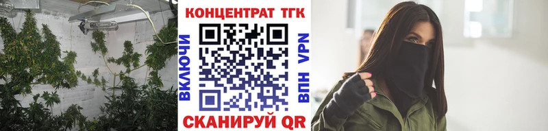 ТГК Wax Нерчинск